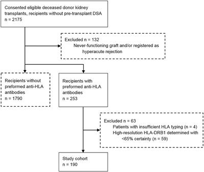 T-Cell Epitopes Shared Between Immunizing HLA and Donor HLA Associate With Graft Failure After Kidney Transplantation